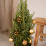 Kerstboom 80 cm inclusief gouden versiering
